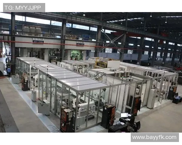 福建浔兴股份发布年度投资计划，力争成为新材料行业领先企业